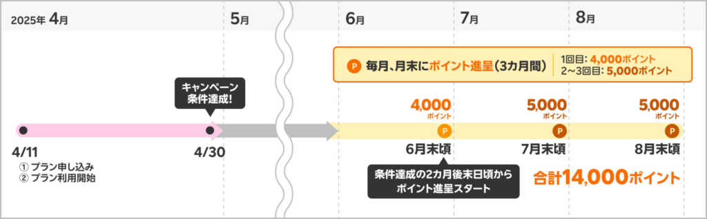 三木谷キャンペーンポイント進呈時期